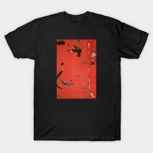 Cracked painting texture T-Shirt